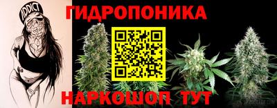 apvp Славгород