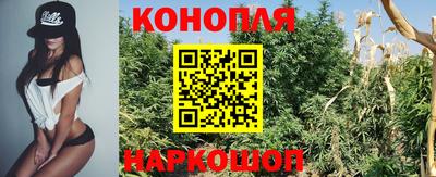 apvp Славгород
