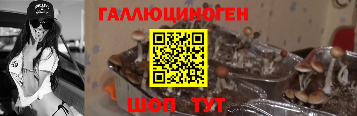 Галлюциногенные грибы мицелий  Вход с VPN  Галлюциногенные грибы Magic Shrooms  Набережные Челны 